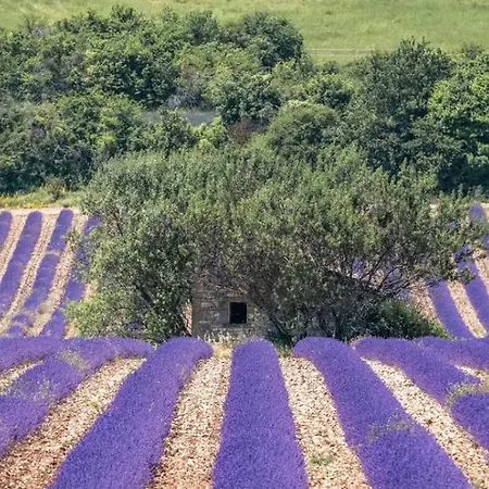 Mas Belvega La Baume-de-Transit